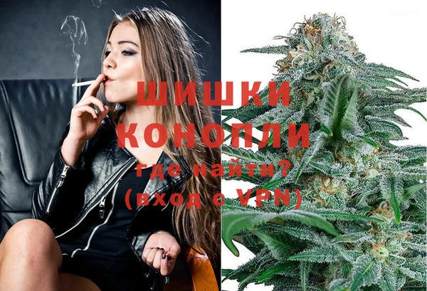 мяу мяу мука Магас