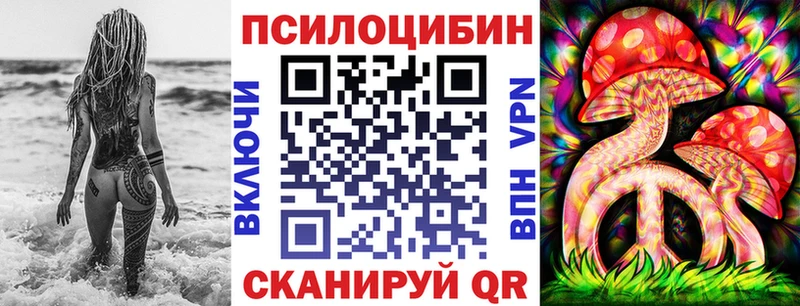 Галлюциногенные грибы Psilocybe  где можно купить наркотик  hydra рабочий сайт  Балашиха 