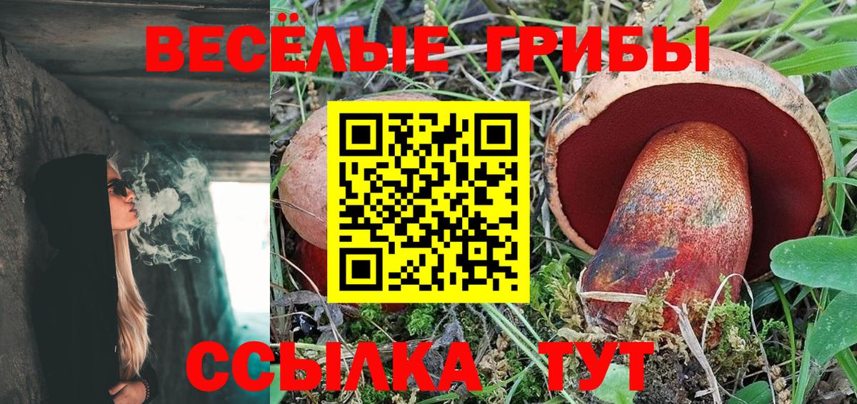 Балашиха  наркотики  Вход с VPN  Галлюциногенные грибы MAGIC MUSHROOMS 